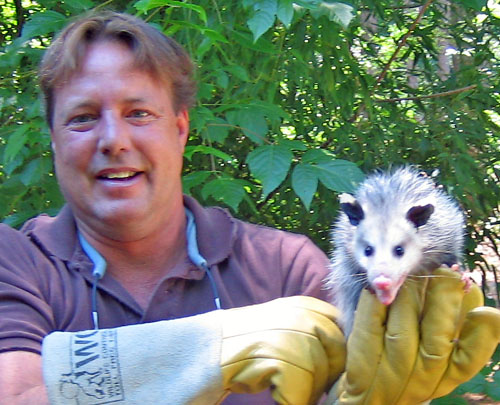 opossum removal atlanta
