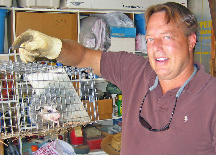 opossum removal atlanta