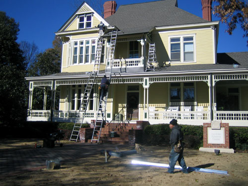 hornett nest on tree